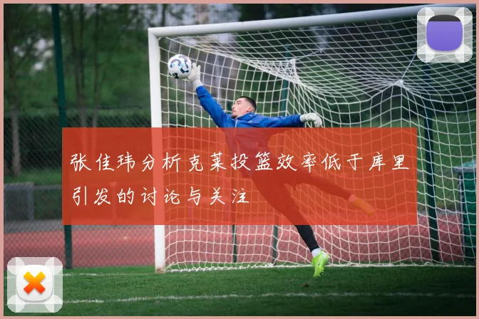 张佳玮分析克莱投篮效率低于库里引发的讨论与关注
