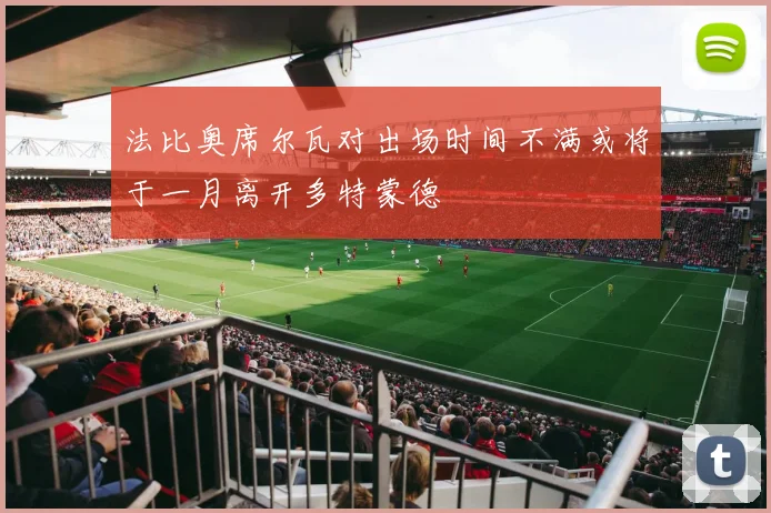 法比奥席尔瓦对出场时间不满或将于一月离开多特蒙德